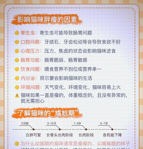 渴望猫粮导致猫咪发胖的原因是什么？如何控制体重？