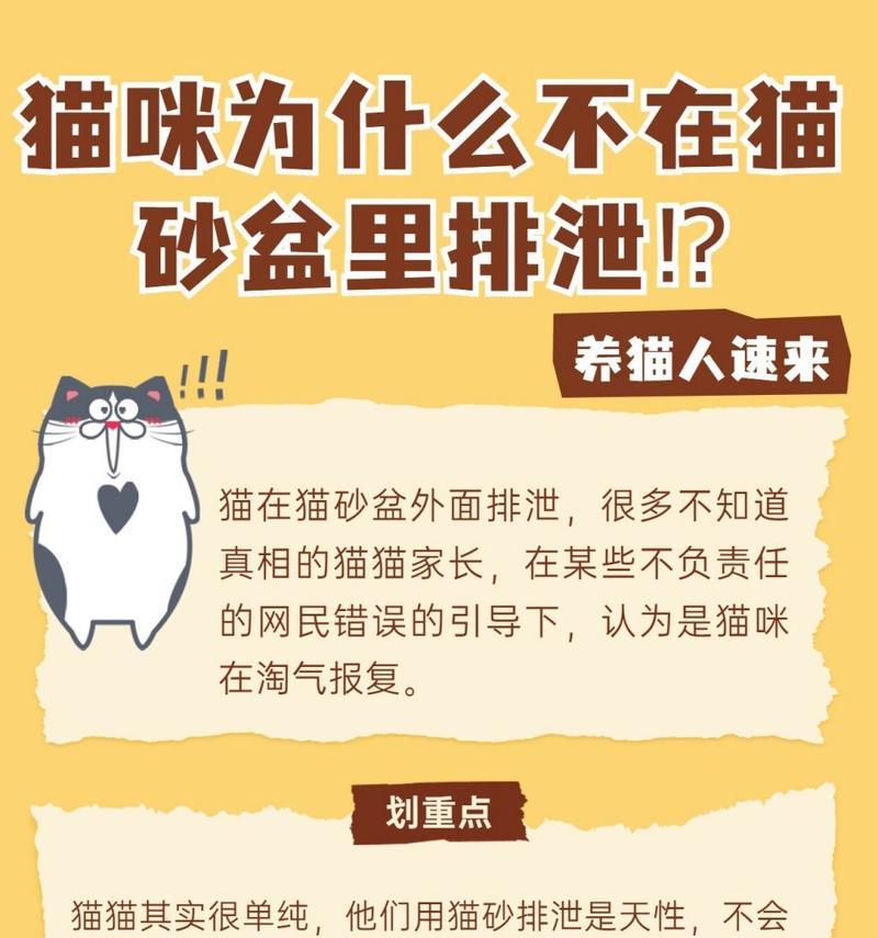 小猫不在猫砂盆排泄正常吗？