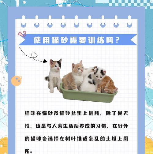 小猫不在猫砂盆排泄正常吗？