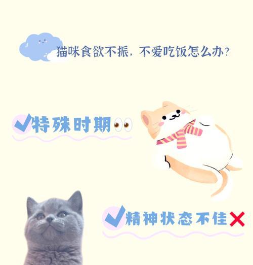 猫咪最近食欲减退是什么原因？