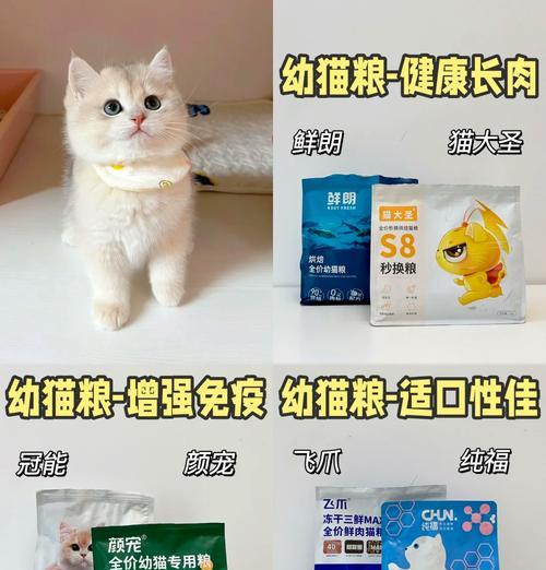 哪种幼猫粮消化更好？如何选择适合幼猫的猫粮？