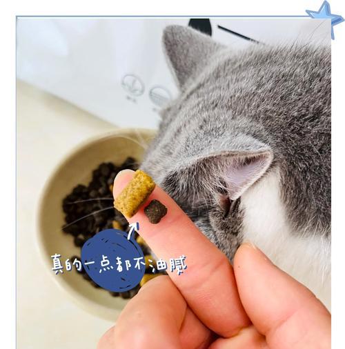 自制猫粮中放盐是否适宜及正确方法？