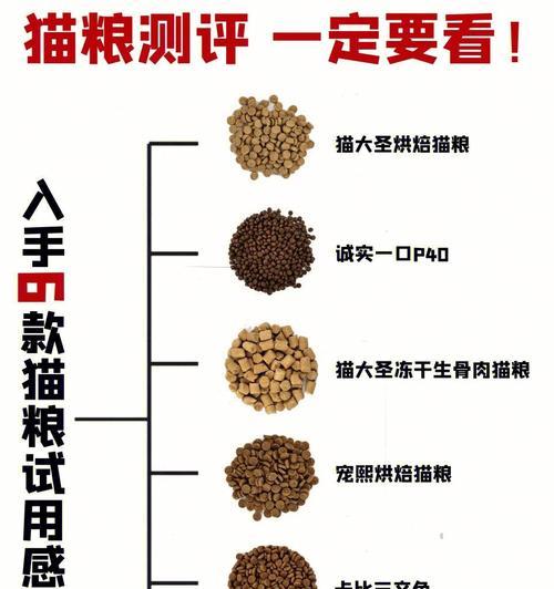自制猫粮中放盐是否适宜及正确方法？