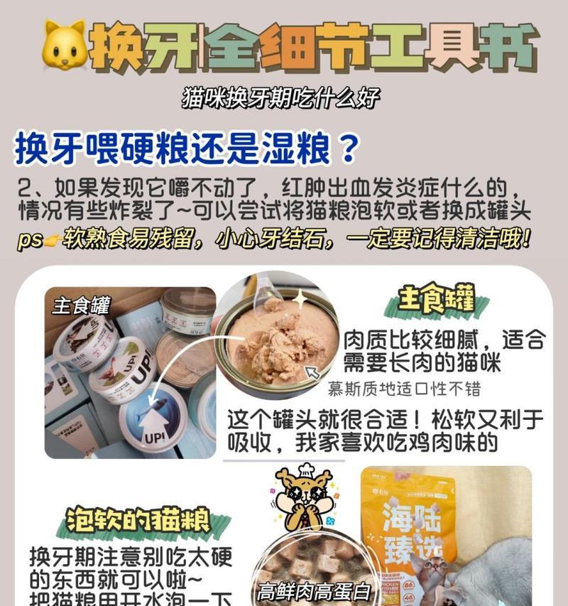 猫咪换牙期猫粮泡水的正确方法？