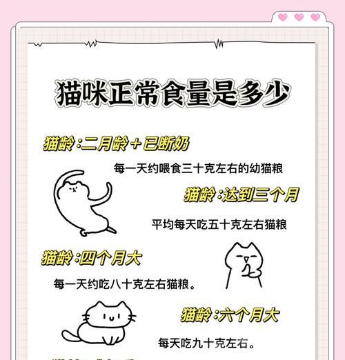 猫咪进食猫粮后排便时间是多久？