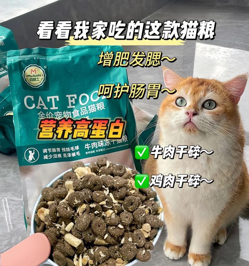 新到家的小猫应该喂哪种猫粮？