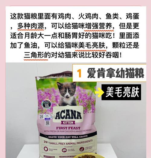 新到家的小猫应该喂哪种猫粮？