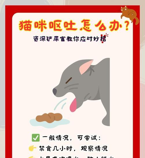 猫吐后拒食猫粮怎么办？如何恢复猫的食欲？