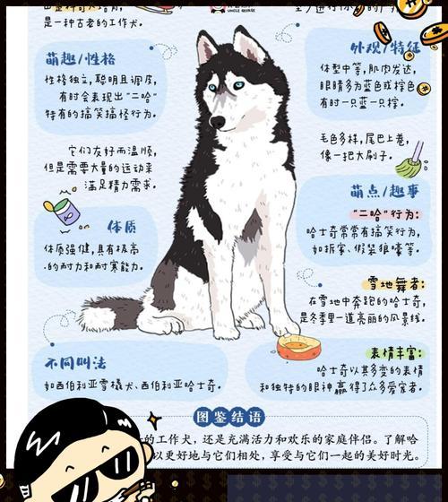 哈士奇与西伯利亚犬谁更强？