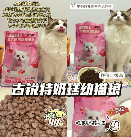 怀孕猫咪应该选择哪种猫粮？