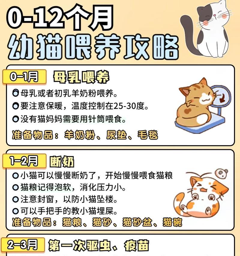 宝宝误食猫粮怎么办？正确的喂养方法是什么？