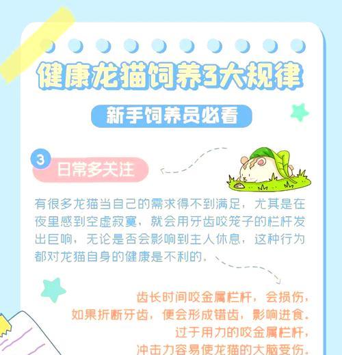 买龙猫怎么挑健康的猫粮？如何选择适合龙猫的健康猫粮？