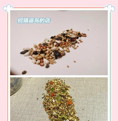 哪种鸟粮适合猫咪食用？
