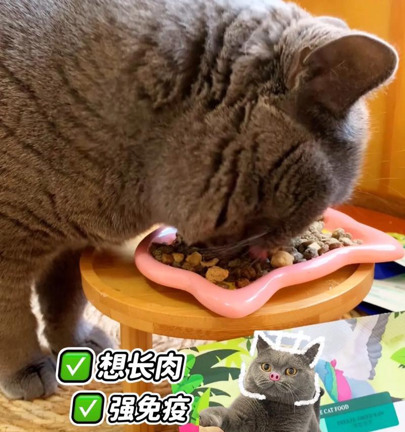 尝猫粮的博主叫什么名字？