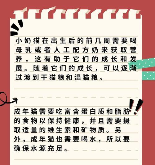 小奶猫应如何喂食猫粮？需要注意什么？
