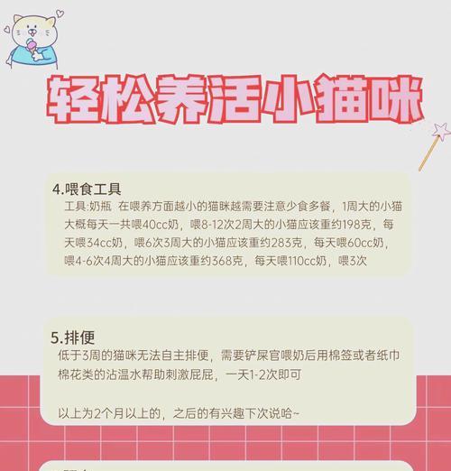 小奶猫应如何喂食猫粮？需要注意什么？