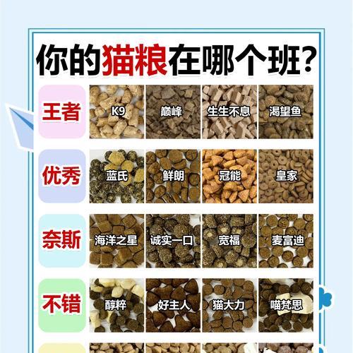 天牛猫粮对猫咪有哪些好处？