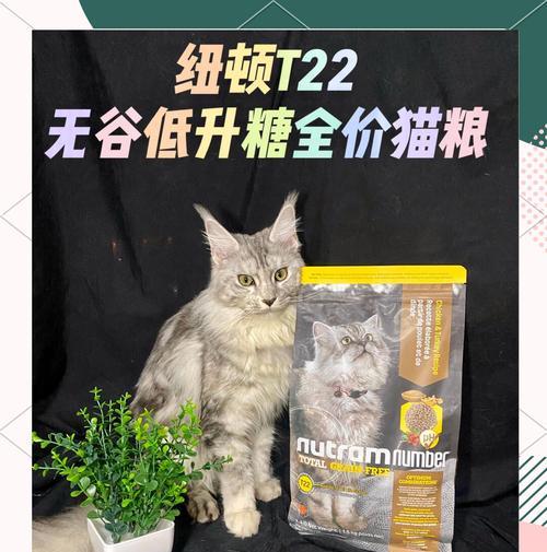 纽顿猫粮的最新上市时间是什么时候？