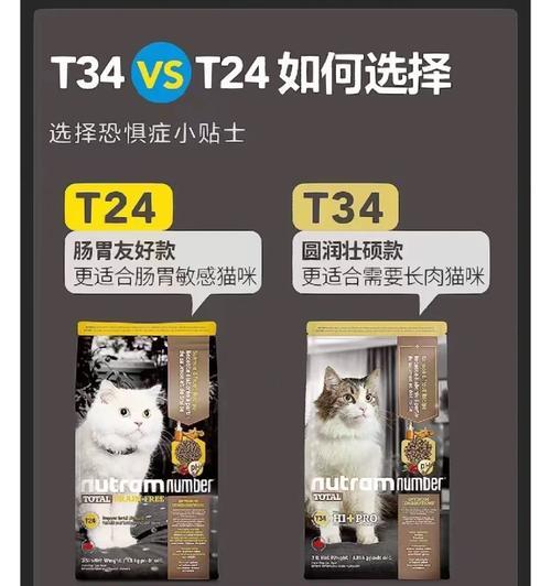纽顿猫粮的最新上市时间是什么时候？