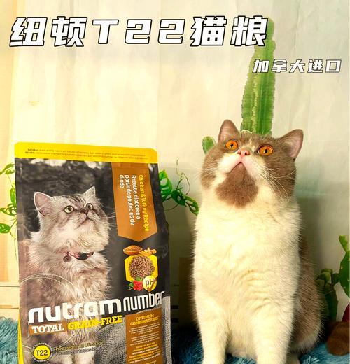 纽顿猫粮的最新上市时间是什么时候？