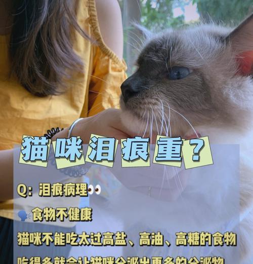 为何食用某些猫粮会导致猫咪出现泪痕？