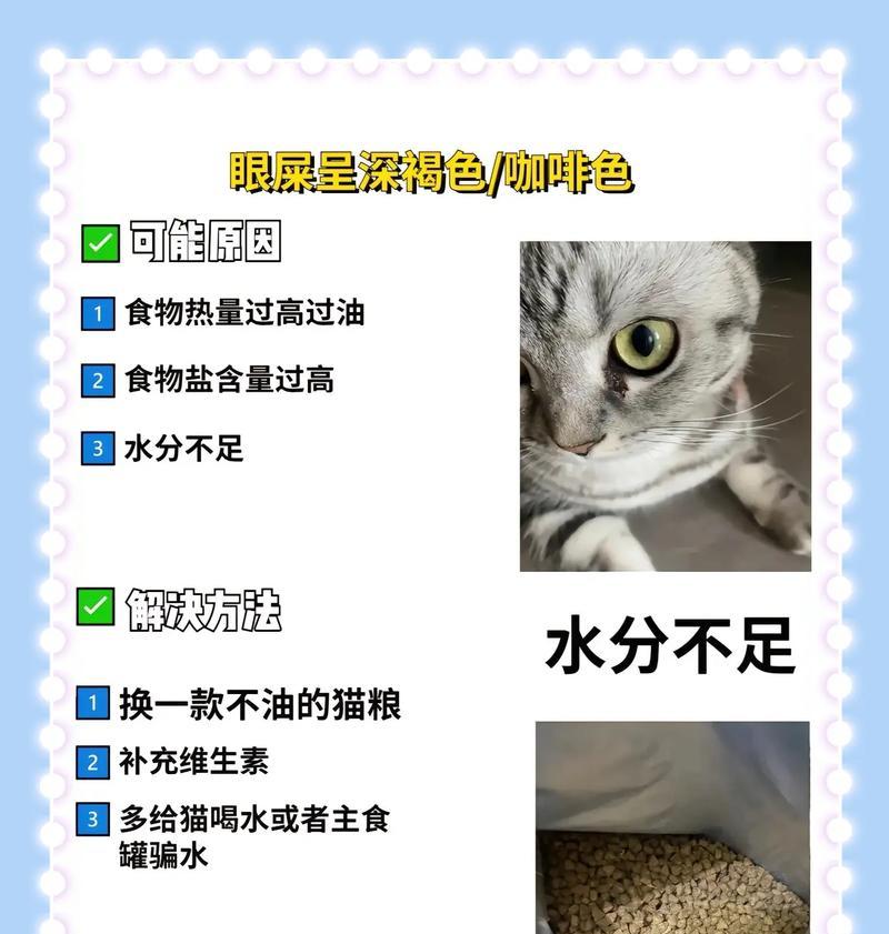 为何食用某些猫粮会导致猫咪出现泪痕？