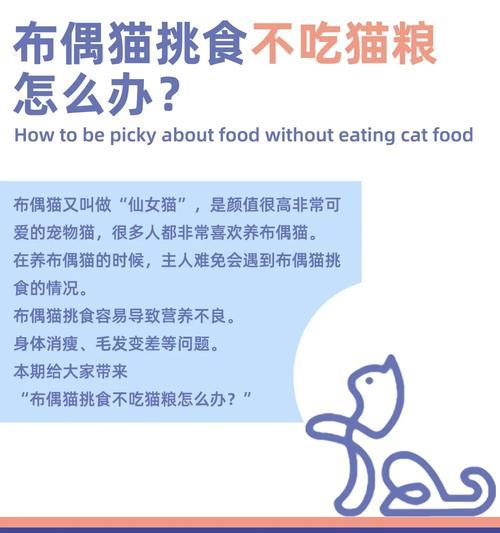 猫咪猫粮摄入过量会有什么影响？如何处理？