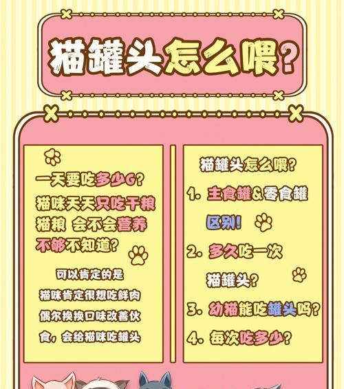 无猫粮无罐头时如何喂养小猫？