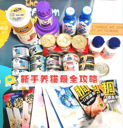 无猫粮无罐头时如何喂养小猫？