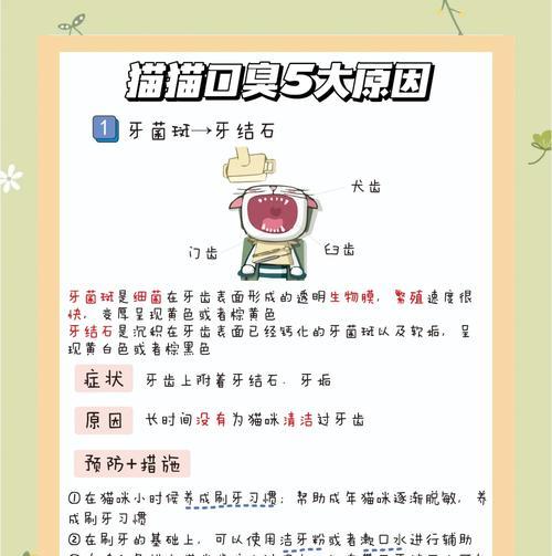 猫粮导致口臭的原因及解决方法是什么？