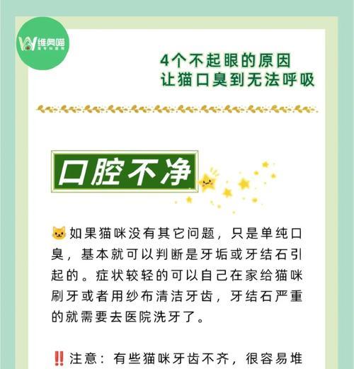 猫粮导致口臭的原因及解决方法是什么？