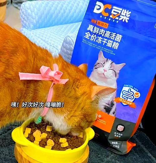 为啥猫吃猫粮拉肚子了怎么回事？如何预防和处理？