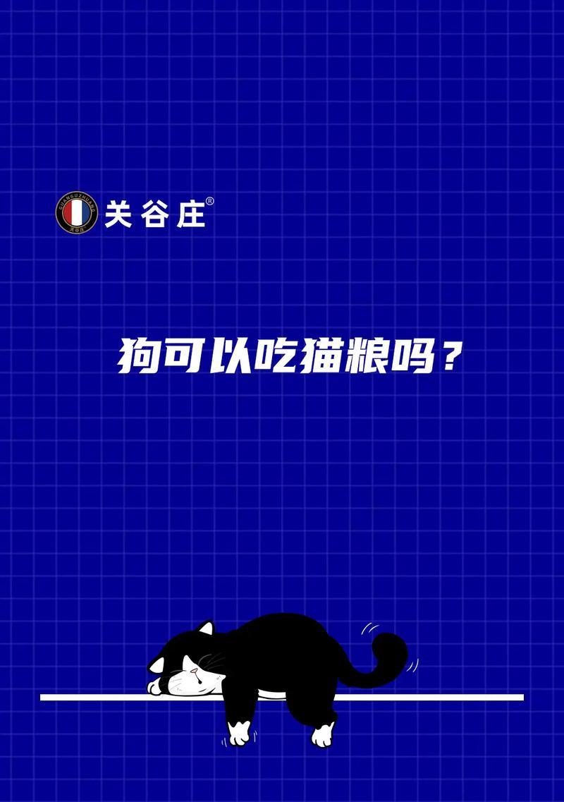 小狗吃猫粮有哪些注意事项？