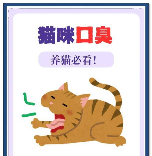 吃的猫粮猫咪口臭怎么办？如何选择合适的猫粮避免口臭？