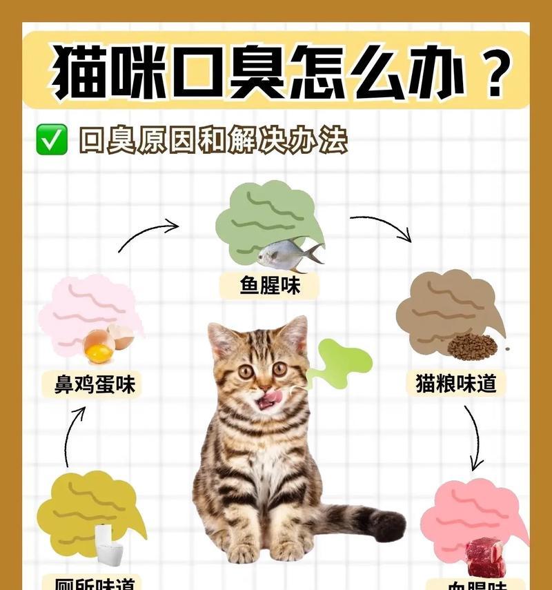 吃的猫粮猫咪口臭怎么办？如何选择合适的猫粮避免口臭？
