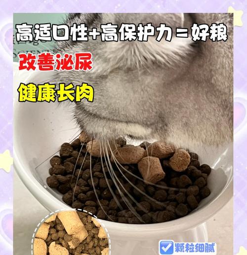 猫咪拉出猫粮但精神状态良好需要治疗吗？