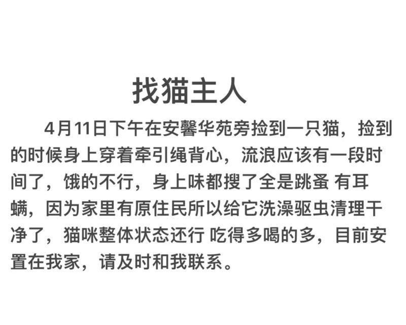 为何不能随意捡拾猫粮？