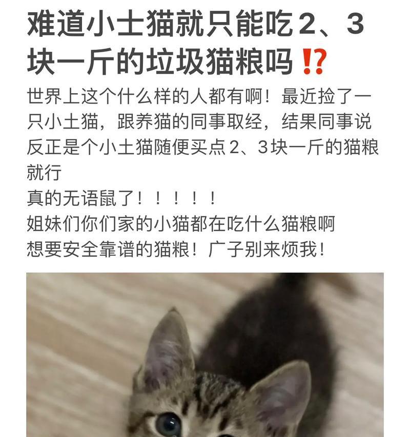 为何不能随意捡拾猫粮？