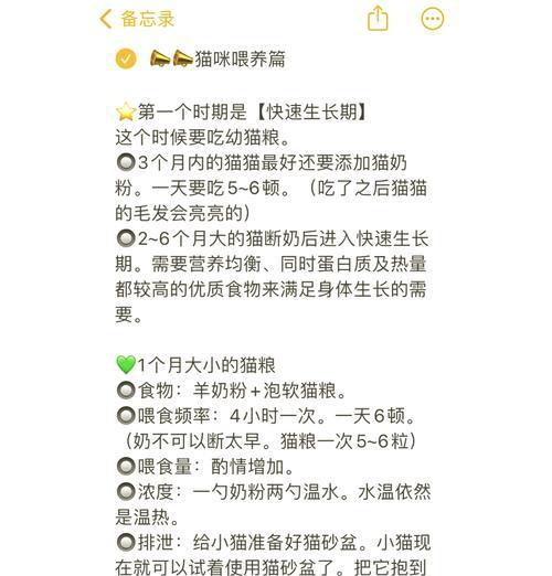生产后猫咪应如何喂食猫粮？