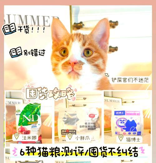 生产后猫咪应如何喂食猫粮？