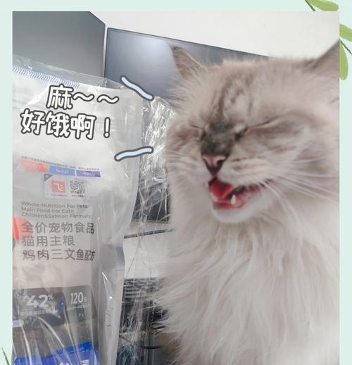 猫为何要躲起来吃猫粮？