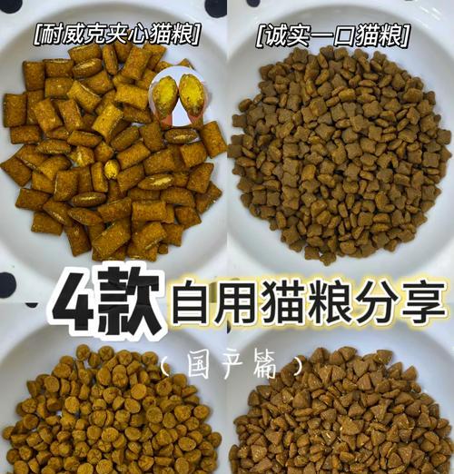 猫粮吃得越多，猫咪发呆是为什么？