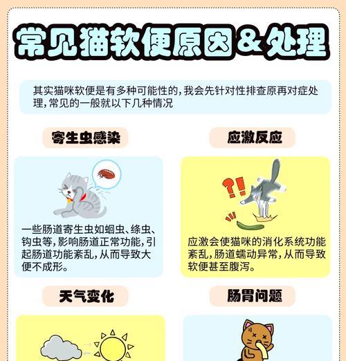 猫咪食用猫粮后软便的原因是什么？