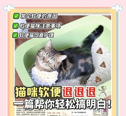 猫咪食用猫粮后软便的原因是什么？