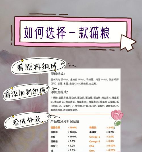 开猫舍时选择猫粮的标准是什么？