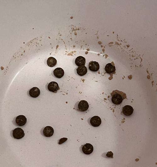 如何辨别猫粮中是否掺有石粉？掺石粉的猫粮有何危害？