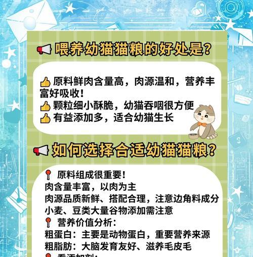 一岁小猫应该喂哪种猫粮比较好？