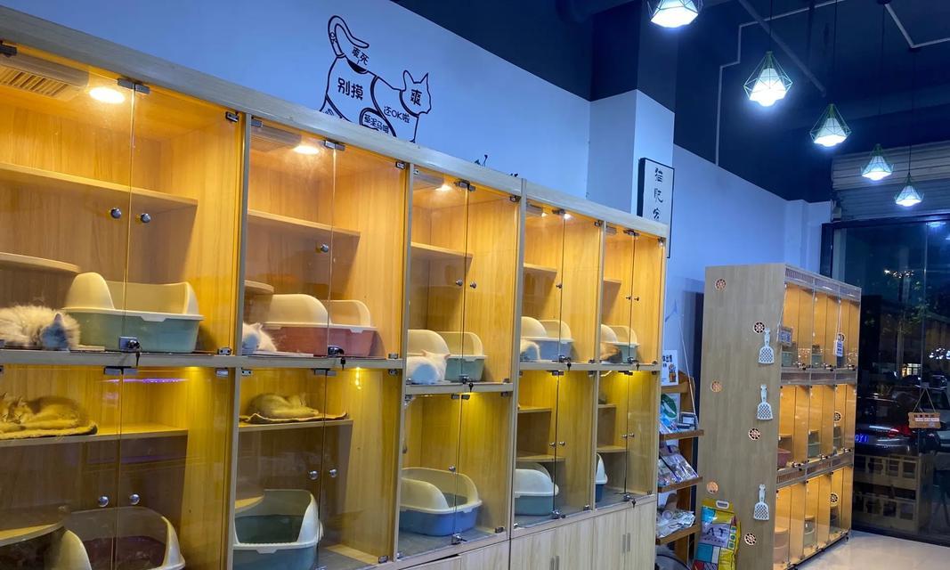 都匀什么地方卖猫粮好卖？有哪些信誉好的店铺？