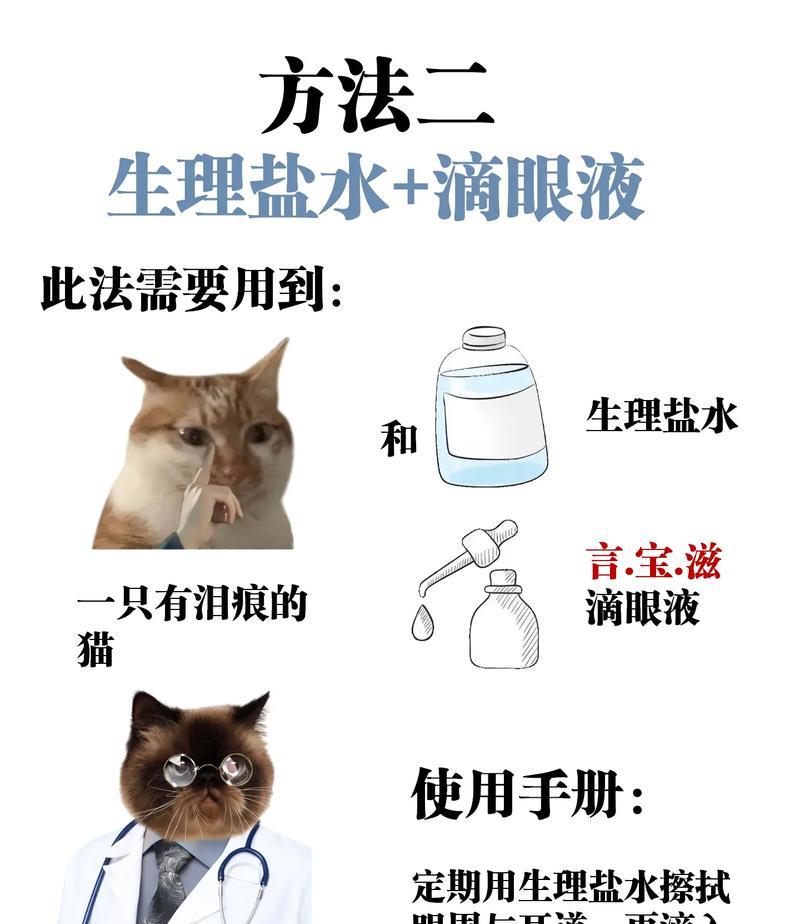 宠物猫粮泪痕怎么去除？日常护理有哪些小技巧？