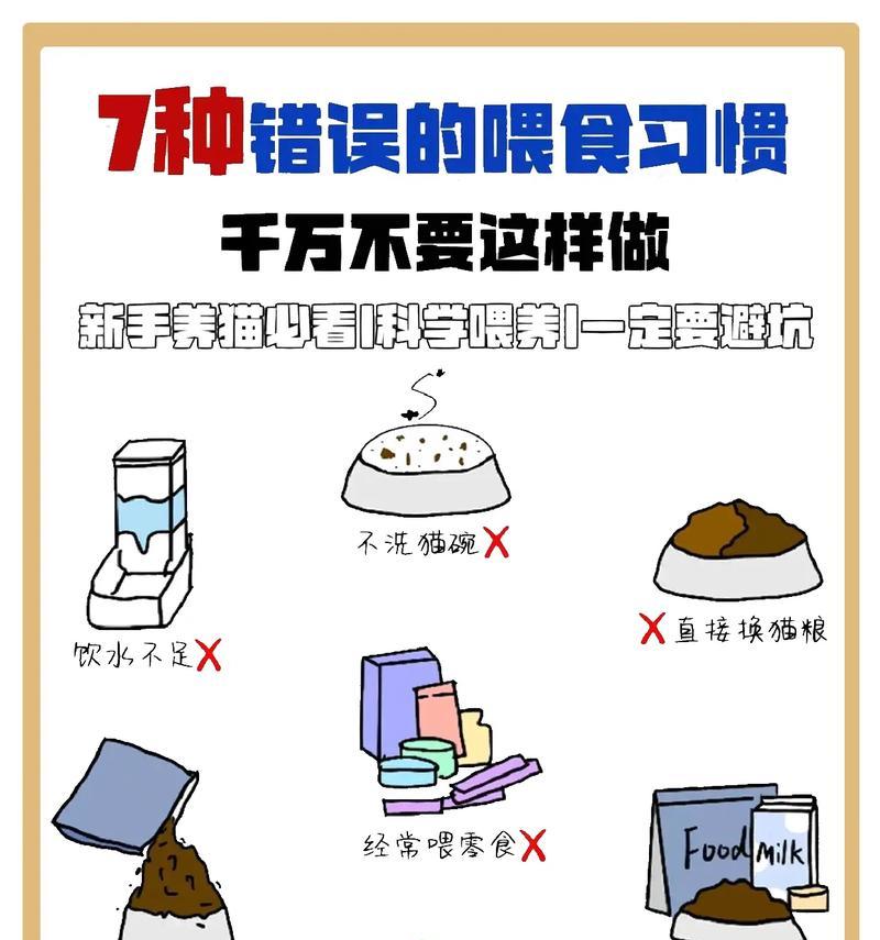 猫减肥时猫粮的正确喂食方法是什么？
